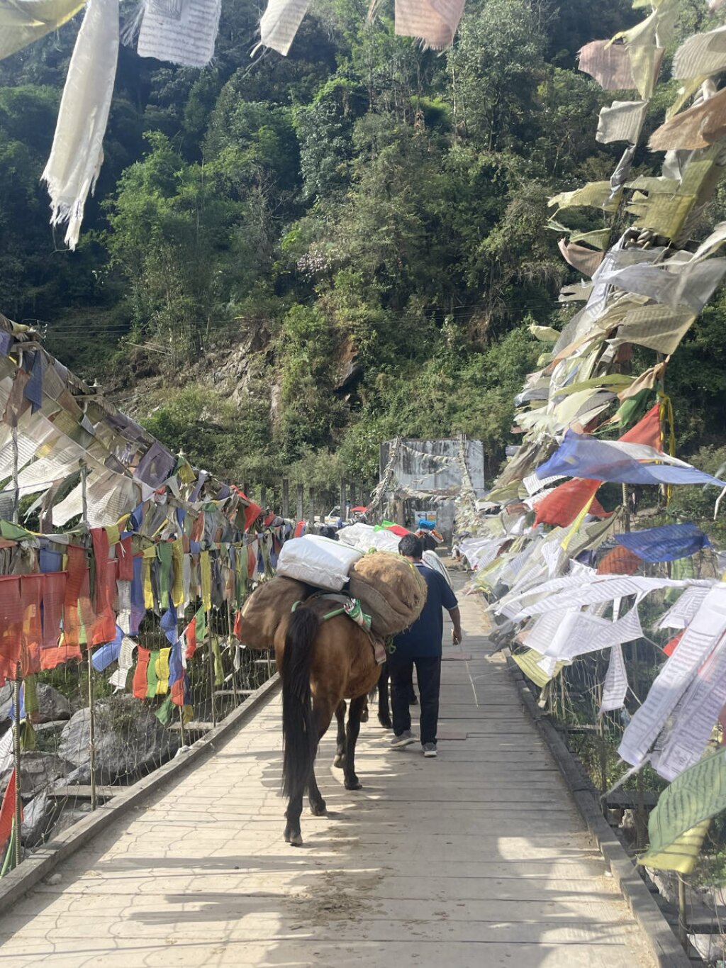 Horse carriage Himalaya bridge.